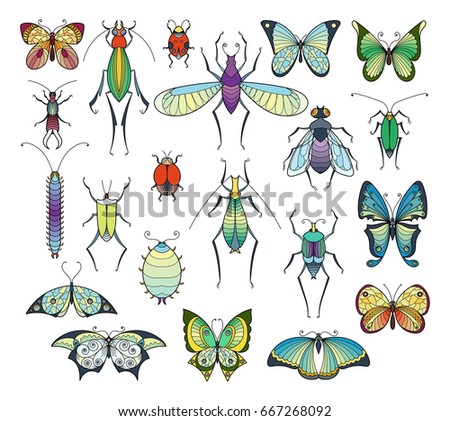 Colored insects isolate on white. Bugs and butterflies vector pictures set