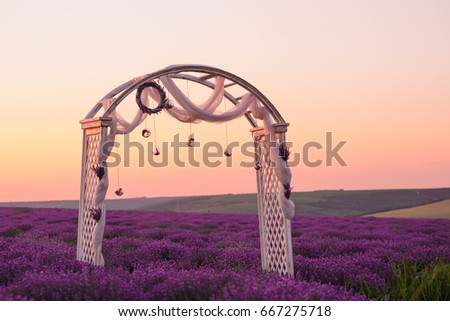 Beautiful field of blooming lavender with wedding wood decoration in the summer
