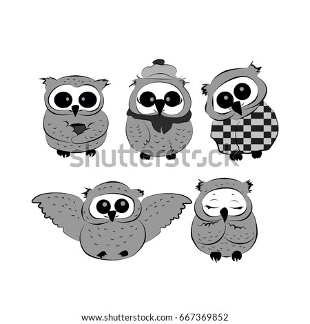 Set of cute owls in gray colors. Vector illustration