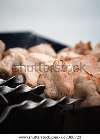 Shish kebab on a brazier. A hot hot dish on coals.