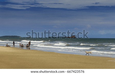 Sea of the ocean   sky wave Sand beach with dog background