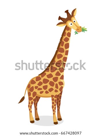 Vector picture of cartoon character giraffe with long neck chewing leaves, grass, illustration for a children book. Long-necked mammal hoofed animal.