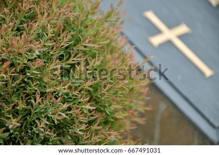 cross on tombstone in cemetery. Engraving with christian religious symbol