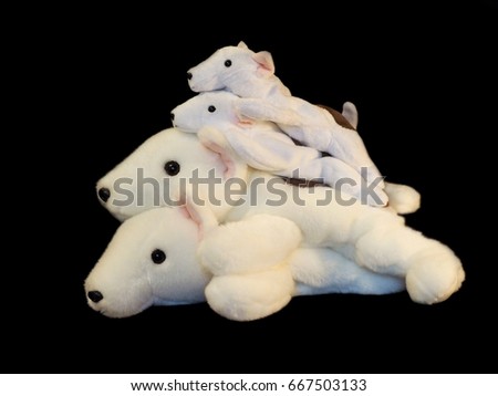 Beautiful animal cartoon dolls, a pile of dogs or bears in different sizes, symbol of childhood, friendship, happiness and fun.  Selective focus, die cut / isolated on black background.