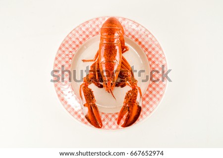 Photo picture of a delicious freshly steamed lobster