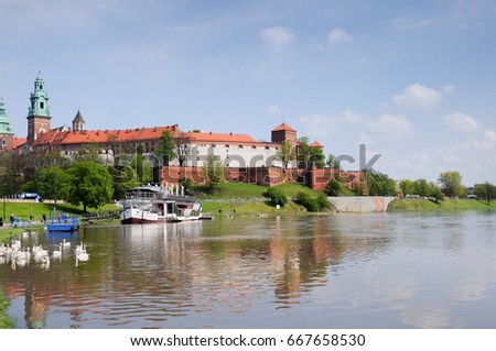 Swans on the Visula river in Cracow with Wawel castel in summer
