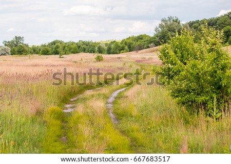 Rural steppe road with beautiful colorful wildflower meadows under cloudy sky.