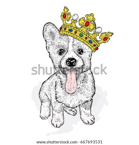 A sweet dog in a beautiful golden crown. Purebred puppy. Vector illustration for a postcard or a poster, print on clothes. Fashion and style, accessories.