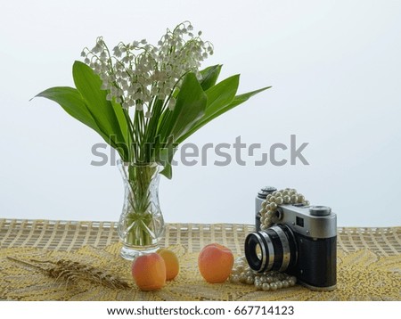 Photo session with lilies of the valley. An old camera, a bouquet of lilies of the valley and apricots on a table covered with a lace tablecloth. Isolated on white background.