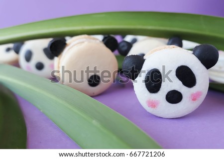 Adorable panda french macaron cookies 