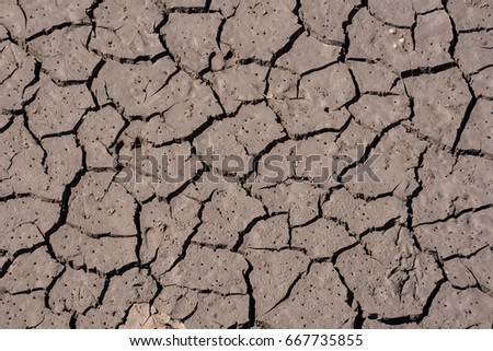 Photo Picture of Dry cracked mud earth texture