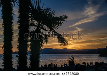 palm tree silhouette on English bay beach with sunset sky backgrounds