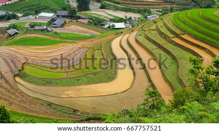 Vietnam terraces