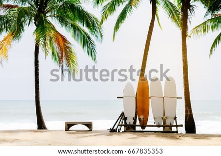 Surfboard and palm tree on beach background. Vintage tone filter color style. 