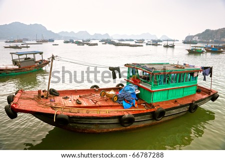 Halong Bay, Vietnam. Unesco World Heritage Site. Focus on foreground.