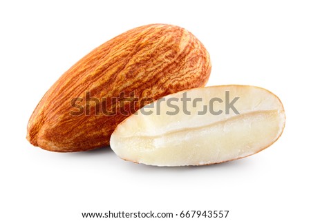 Almond. Almond nut with a cut isolated on white background. Full depth of field.