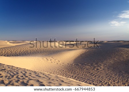 sand hills in the desert
