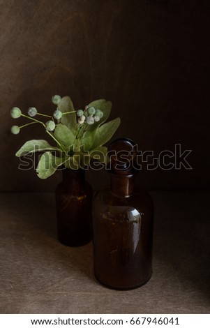 Low key still life photo with vintage glass bottles and linden seed