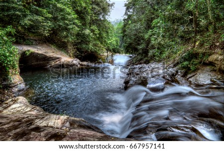 Waterfall in a Forest. From Top