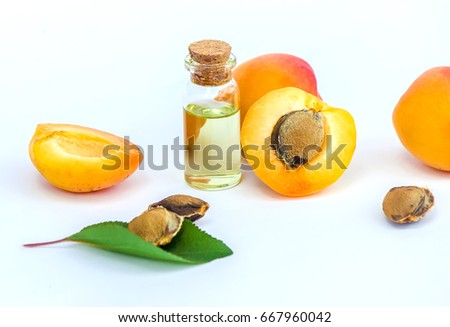 the apricot kernel oil. Royalty-Free Stock Photo #667960042