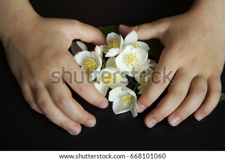 Flowers of jasmine and baby hands.