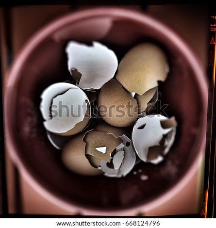 Pale image of collected egg shells to mix a do-it-yourself fertilizer for your own garden 