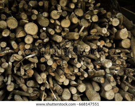 bulk of firewood , tropical wood