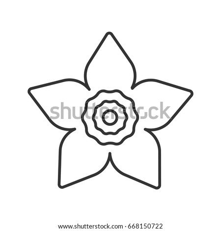 Narcissus, jonquil head linear icon. Flowering plant thin line illustration.Garden spring flower contour symbol. Vector isolated outline drawing