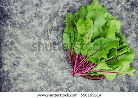 the leaves of the beet. mangold. selective focus.