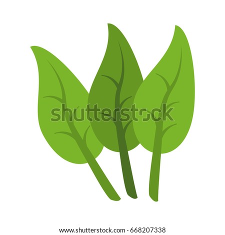 three leaves icon image 