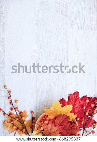 Autumn Thanksgiving Background with Copy Space Royalty-Free Stock Photo #668295337