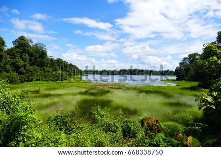 Photo picture a blue sky and a lake, meadow grass and clouds float white.
