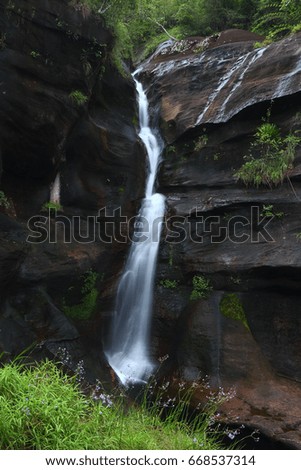 waterfall landscape  in tropical Rainforest , slow shutter speed to blur the water.Flowers  foreground,Phu Wua Wildlife Sanctuary ,Thailand