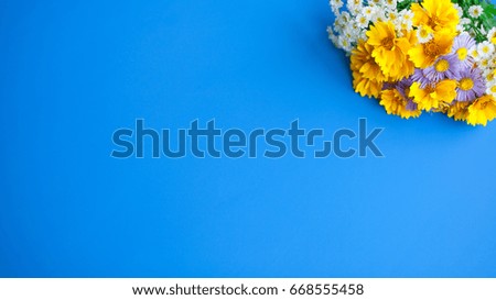 Blue texture. Fresh yellow flowers on blue background. Summer concept. Free space. 