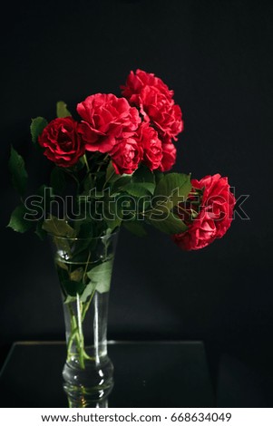 Red roses in vase on black background