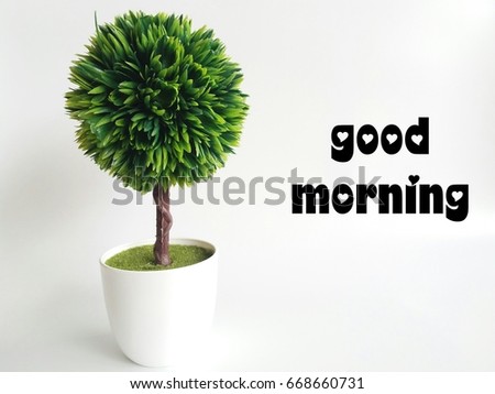 Conceptual image of plant in the pots and word - Good morning with isolated white background/selective focus.