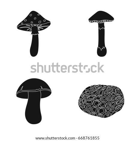 Amanita, porcini, black truffle,toadstool. set collection icons in black style raster,bitmap symbol stock illustration web.