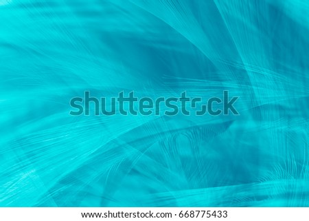 Abstract green turquoise vintage color trends line feather texture background