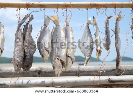 Fish hanging on the branch and drying for preservation - Fisherman lifestyle - soft focus