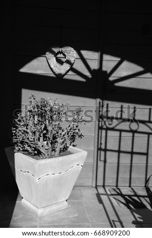 Rustic home. Plant in ceramic vase, straw heart hanging on house wooden door. Black and white.