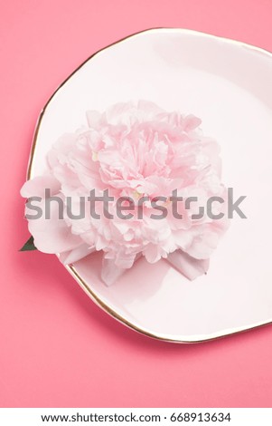 Decorative pink plate with fresh flowers