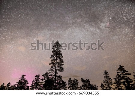 Early dawn with many stars from the Milky Way and weak pink aurora in a pine forest in Finland