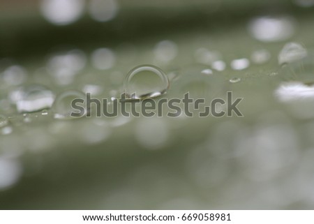Water drop background