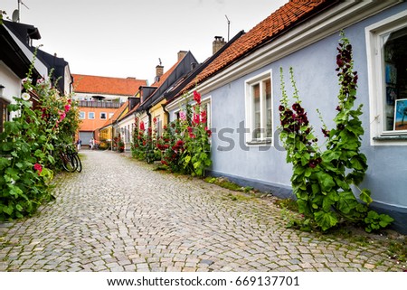 Swedish Village Alley With Doors and Plants, Ystad