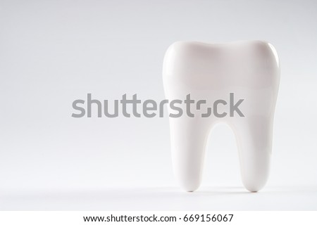 White healthy human tooth isolated on a white background with copy space. Dental health Concept. Oral Care. Royalty-Free Stock Photo #669156067