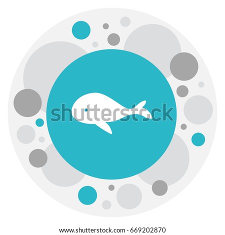 Vector Illustration Of Zoo Symbol On Whale Icon. Premium Quality Isolated Ocean Blower Element In Trendy Flat Style.