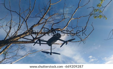 Drone Crash. Quadcopter Crashed into a Tree and Hung on it Royalty-Free Stock Photo #669209287
