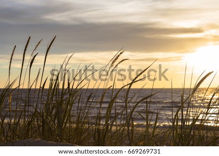 the coast of the Baltic Sea lit with evening beams of the sun. Latvia