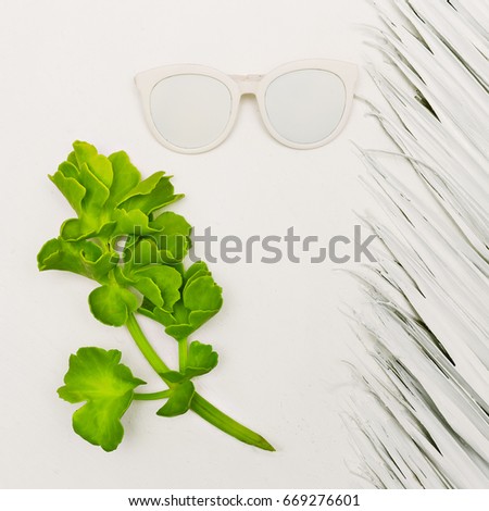 Tropical plant and sunglasses. White Minimal Style