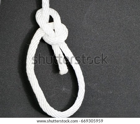 The Water Bowline is described by Ashley as a Bowline with an extra half hitch It makes a secure loop in the end of a piece of rope.